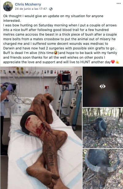 Herido por búfalo