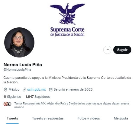 Cuenta falsa de Norma Lucía Piña Hernández
