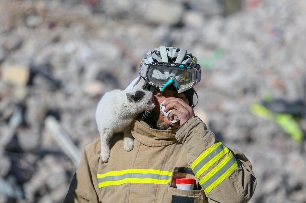 Enkaz, gato rescatado en Turquía, junto a el bombero Ali Cakas
