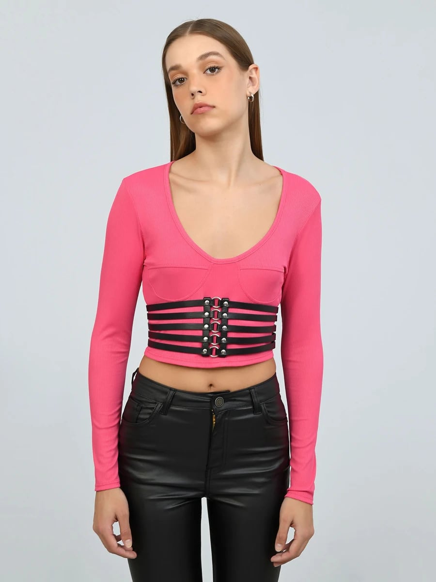 Corset de Cuidado con el Perro.