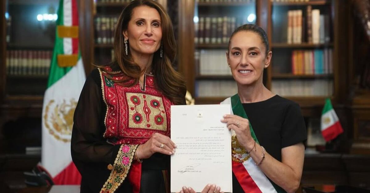 ¿Quién es Nadya Rasheed? Embajadora de Palestina en México