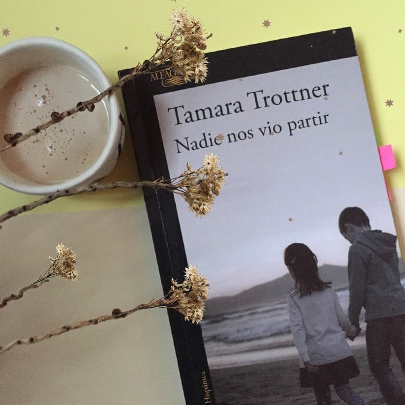 Nadie nos vio partir, libro de Tamara Trottner