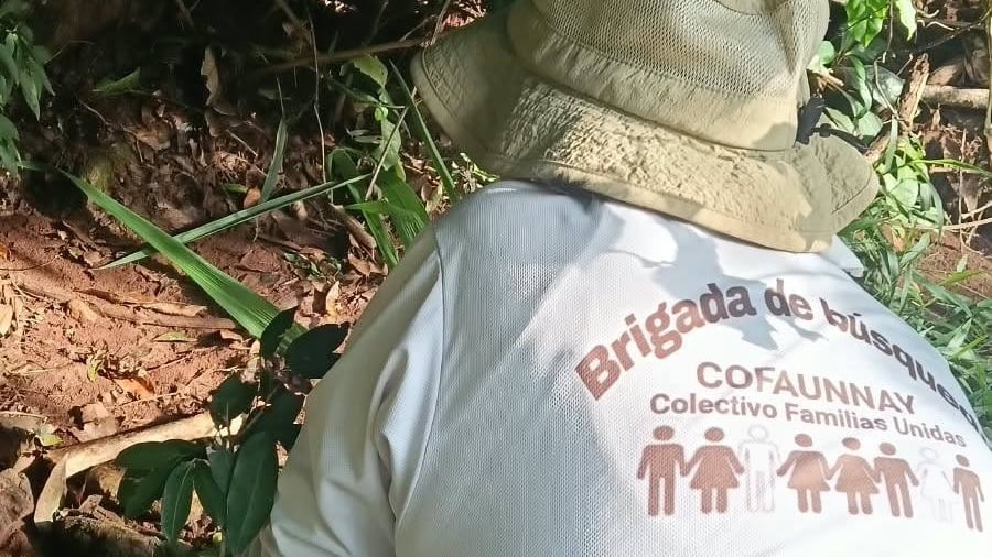 Fiscalía de Nayarit investiga presunto centro de exterminio y fosa en Xalisco