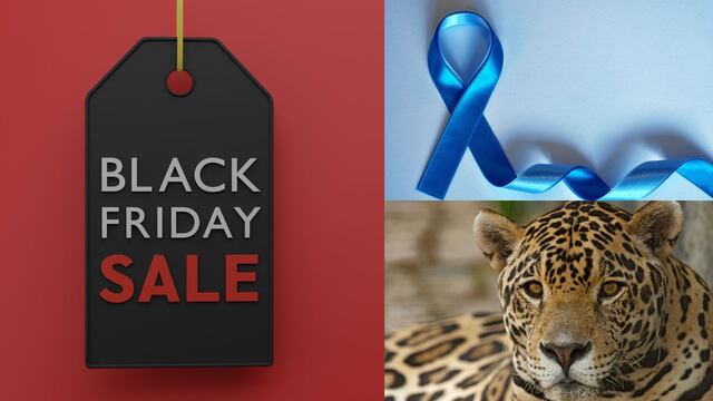 ¿Qué se celebra el 29 de noviembre? Hoy es Black Friday, Día Nacional de la Lucha contra el Cáncer de Próstata, Día Mundial de la Conservación del Jaguar y más efemérides