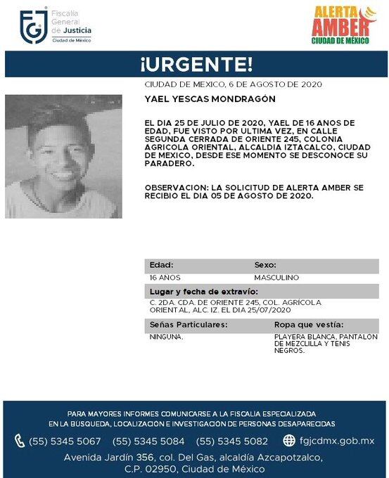 Ficha de búsqueda de Yael