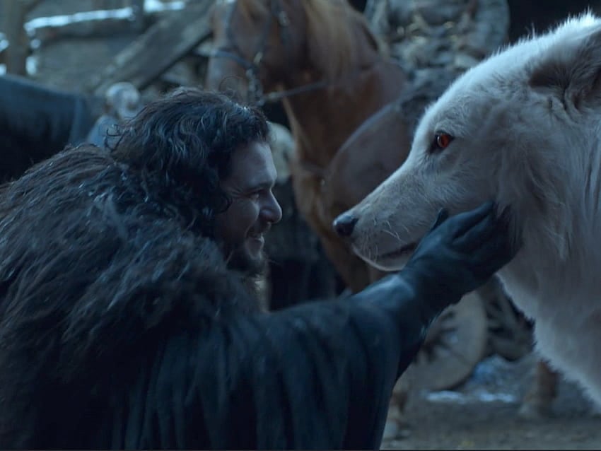 Así suena aullido de lobo extinto hace 12 mil años que George R.R. Martin, autor de Juego de Tronos, regresó a la vida