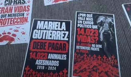 Protestan contra Mariela Gutiérrez con memorial por los perros sacrificados en Tecámac