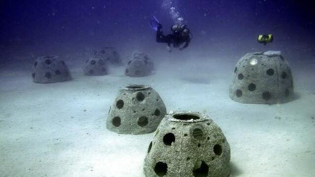 arrecife artificial en bcs