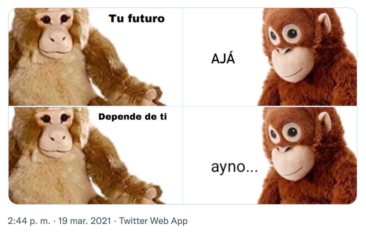 Meme del orangután 'Lupe'