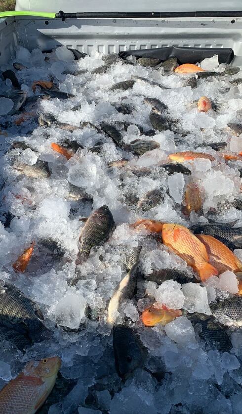 Monte Sagrado, venta de mojarra y tilapia