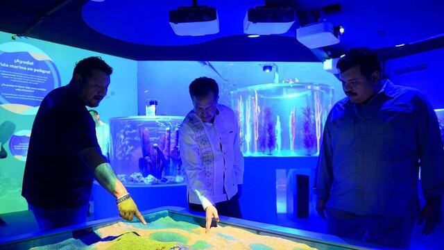 Cuitláhuac García en el Aquarium