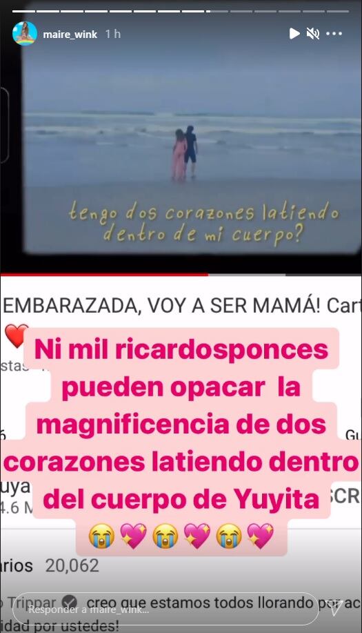 Maire Wink responde a video de Ricardo Ponce