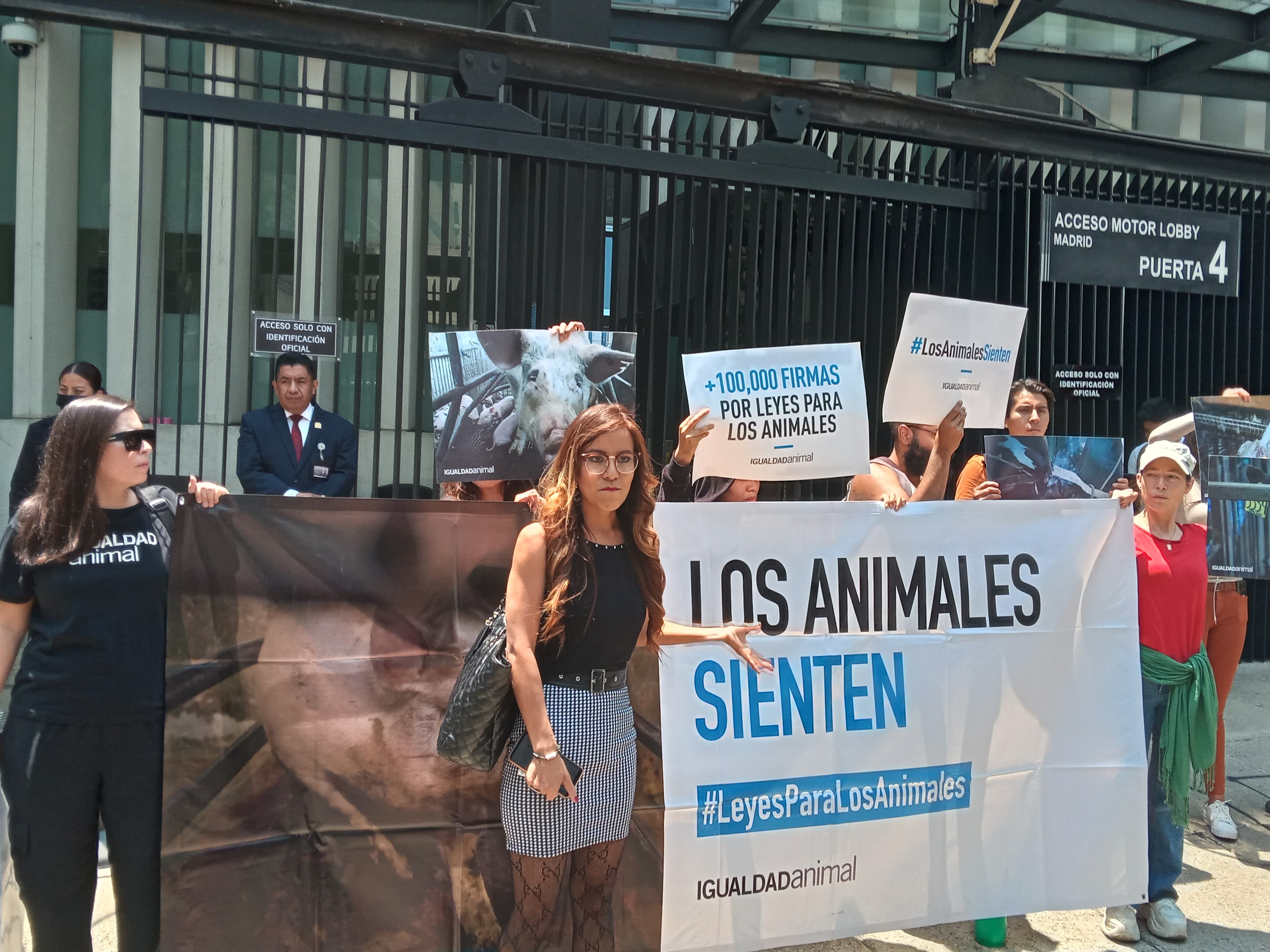 Protestan en el Senado por maltrato animal