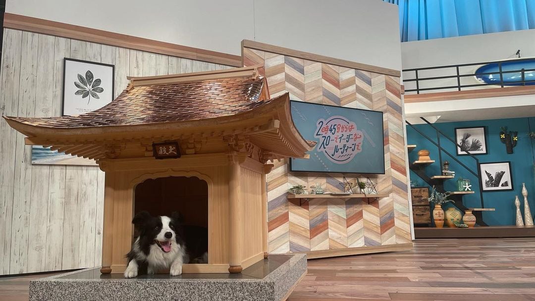 Inudono, la casa para perros más cara del mundo