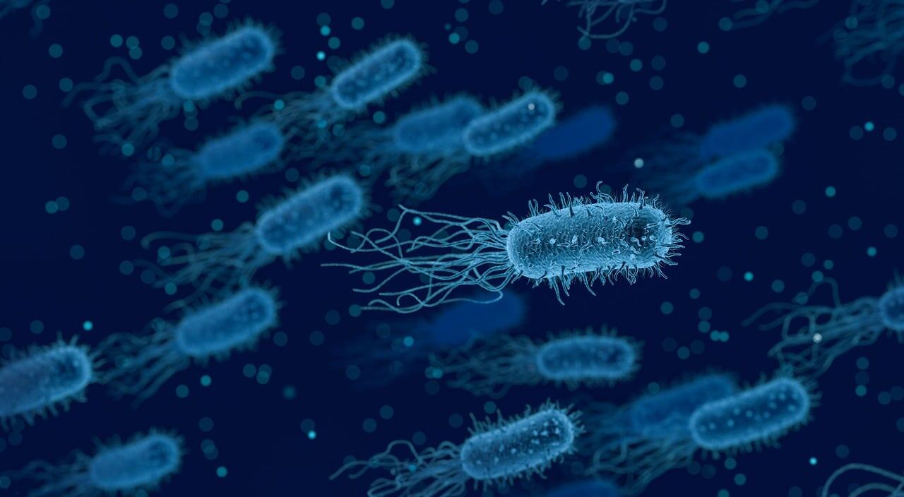 Este extraño virus estomacal genera alertas en Estados Unidos; es resistente a la medicina