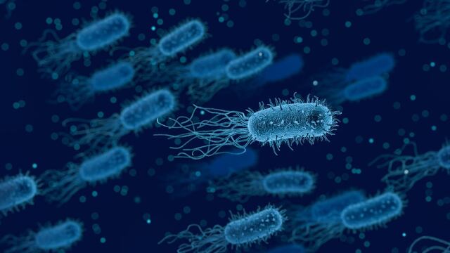 Este extraño virus estomacal genera alertas en Estados Unidos; es resistente a la medicina