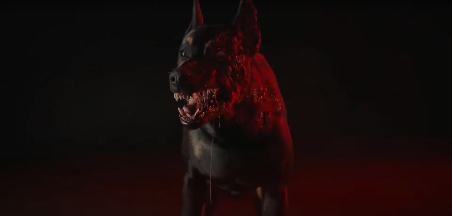 Resident Evil live-action