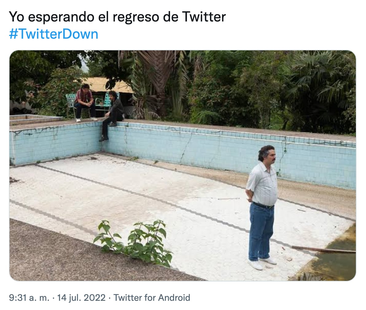 Meme caída de Twitter
