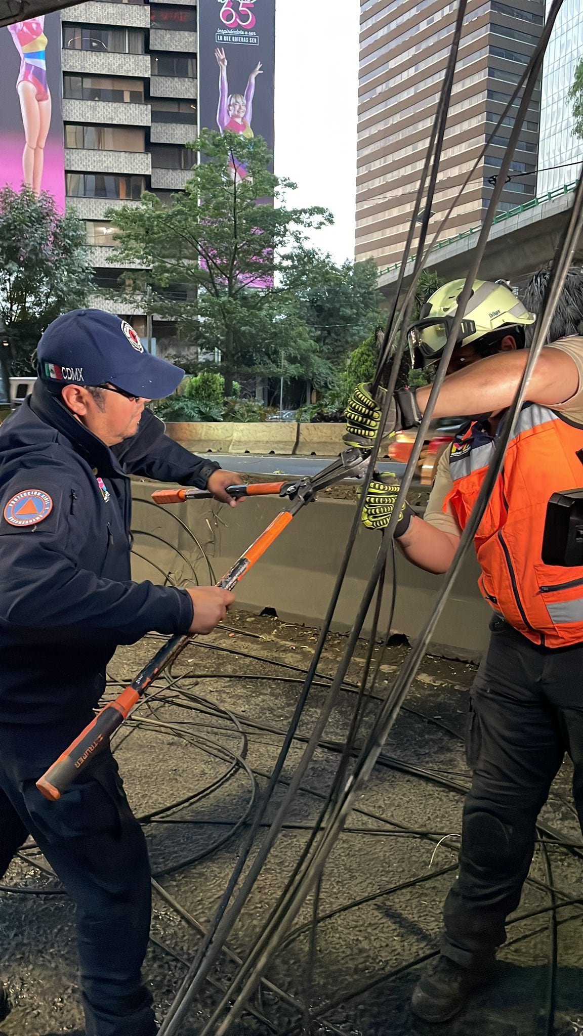 Camión choca y tira postes y cableado en Periférico y Las Palmas