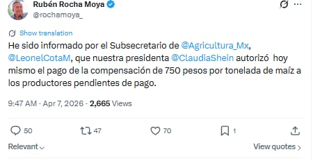 Claudia Sheinbaum autorizó la entrega del pago de 750 pesos por tonelada de maíz