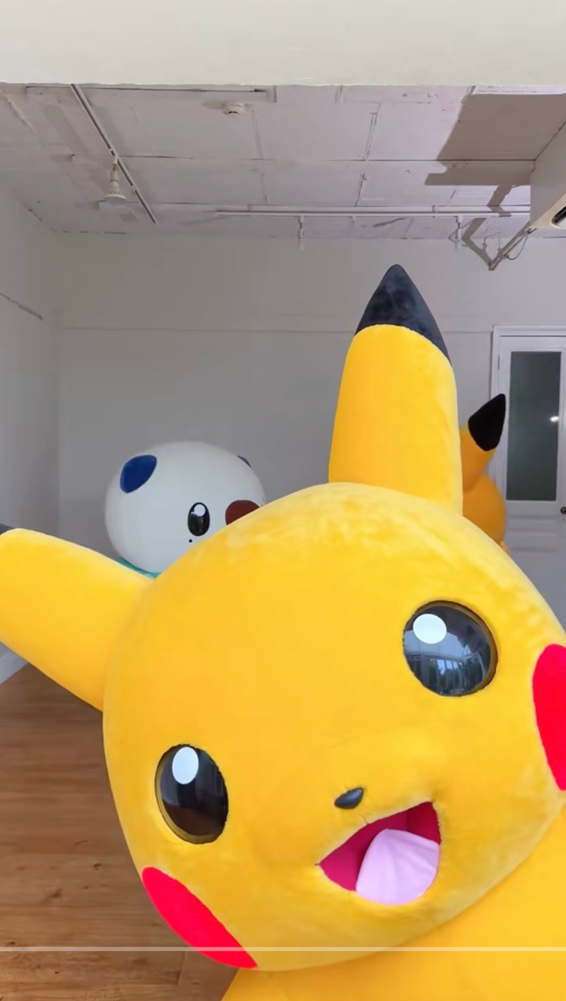 Pikachu, Oshawott y Ditto bailan La Chona de Los Tucanes de Tijuana en TikTok