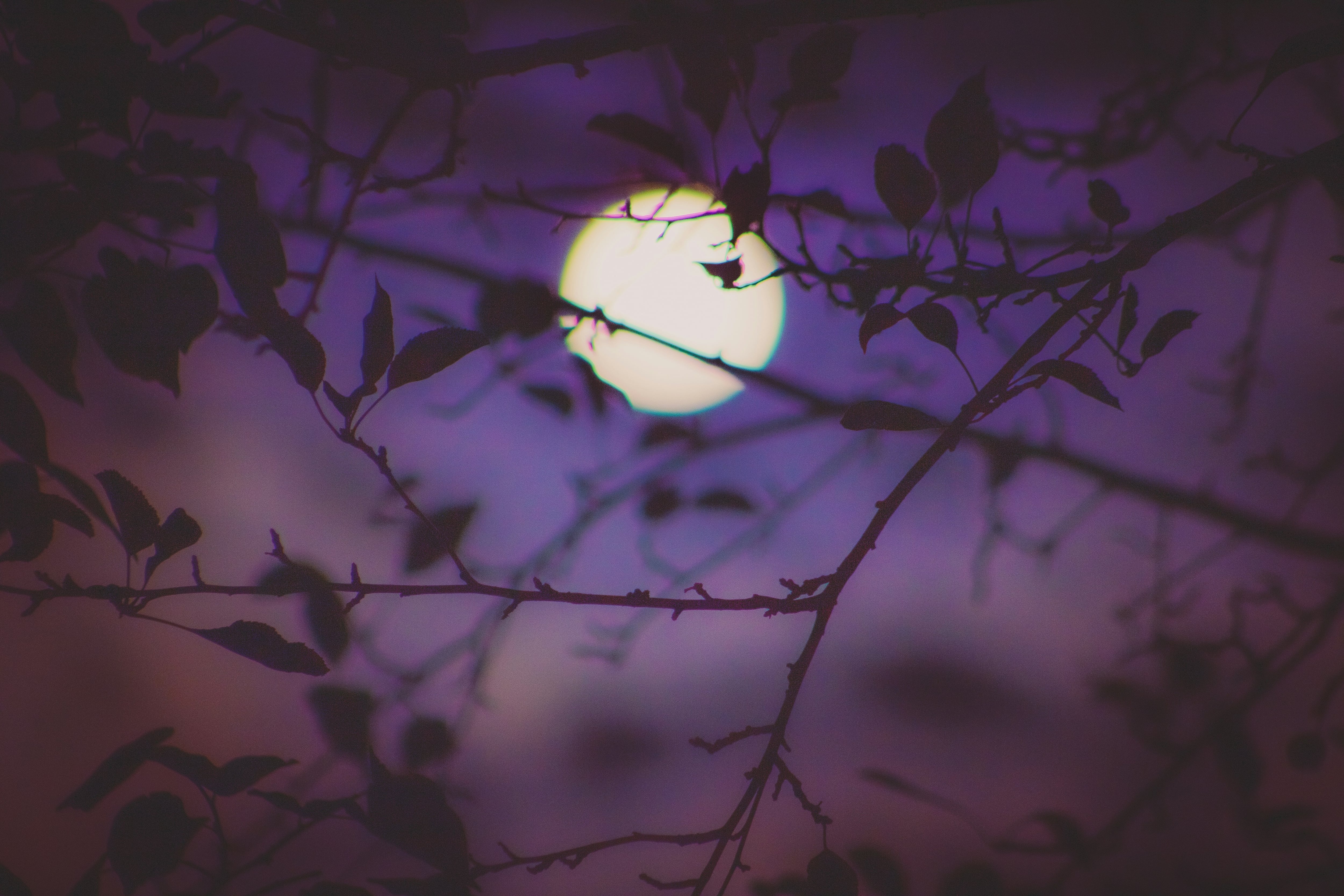 Oración para la luna llena en Leo del 25 de enero