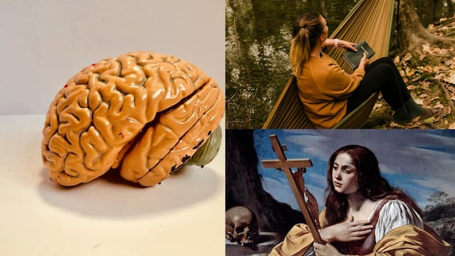 Este 22 de julio es el Día Mundial del Cerebro, el Día Mundial de la Hamaca y se celebra a Santa María Magdalena