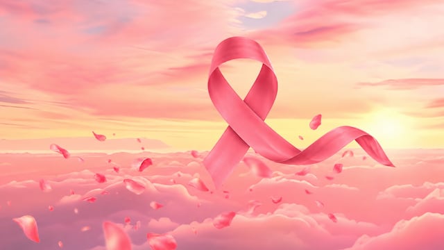 Mes rosa en la aviación