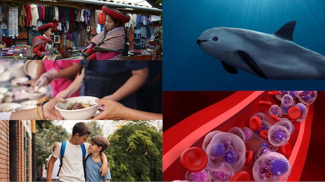 Hoy 5 de septiembre se celebra el Día Internacional de la Mujer Indígena, Día Internacional de la Beneficencia, Día Mundial del Hermano, Día Mundial de la Vaquita Marina y Día Internacional del Mieloma Múltiple