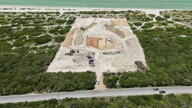 Profepa frena proyecto Las Dunas en Yucatán por afectaciones a especies protegidas
