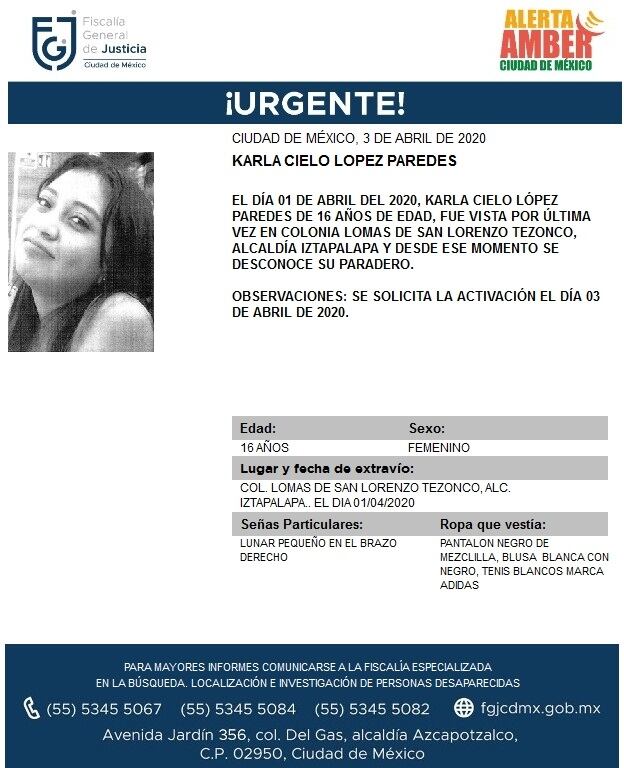 Ficha de búsqueda de Karla.