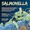 ¿Qué es la salmonela?