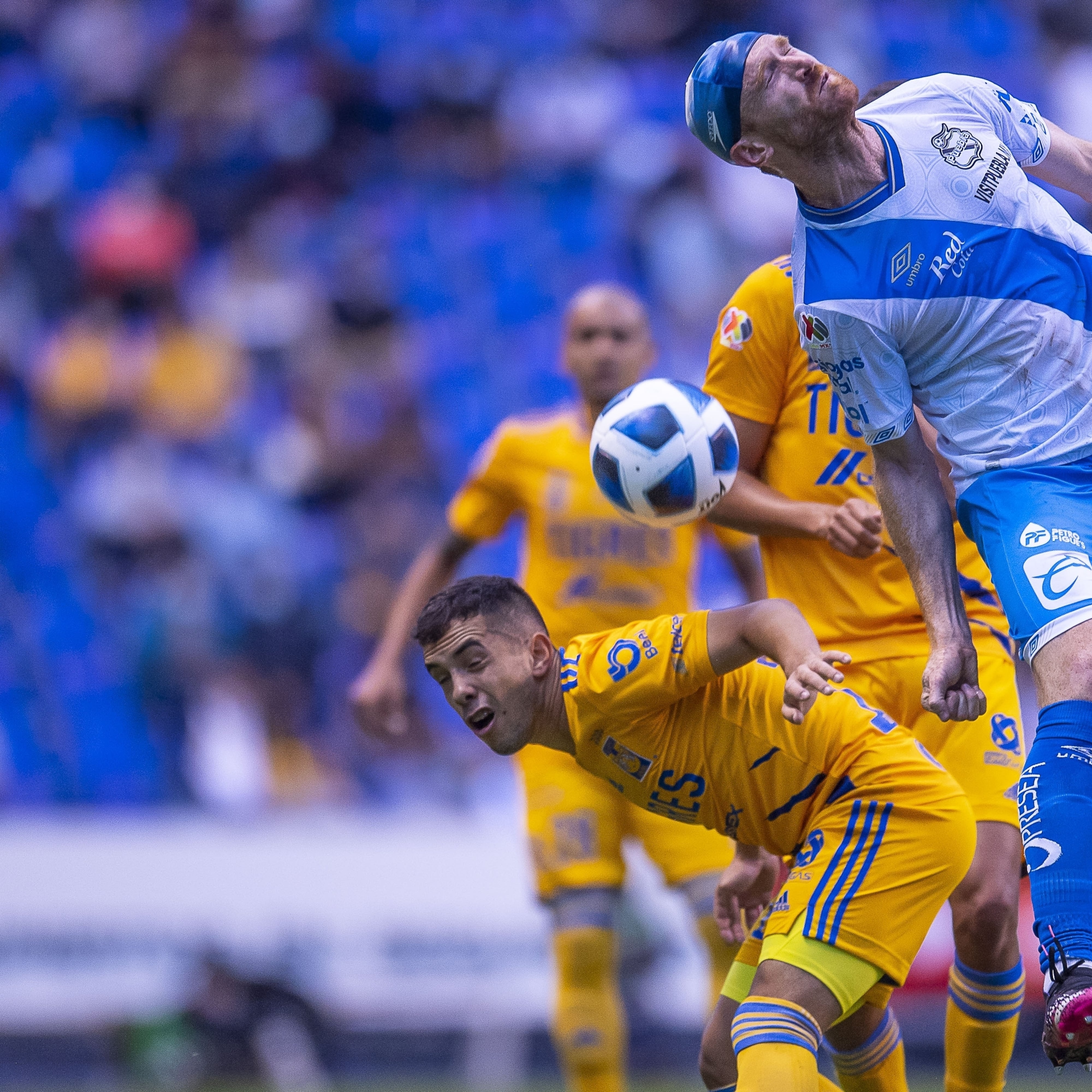 Tras codazo de Carlos Salcedo, Fernando Aristeguieta usó gorra de natación