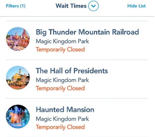 Disney World de Orlando, Estados Unidos, fue cerrado por un oso que andaba suelto