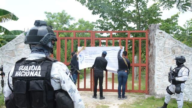 Cateo en Quintana Roo