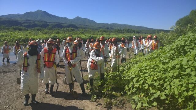 Los trabajadores de Grupo México sólo fueron un día a supuestamente sanear el río, y ya no se les volvió a ver, denuncian. Foto/Cuartoscuro