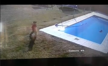 niño salva a su perrito de ahogarse