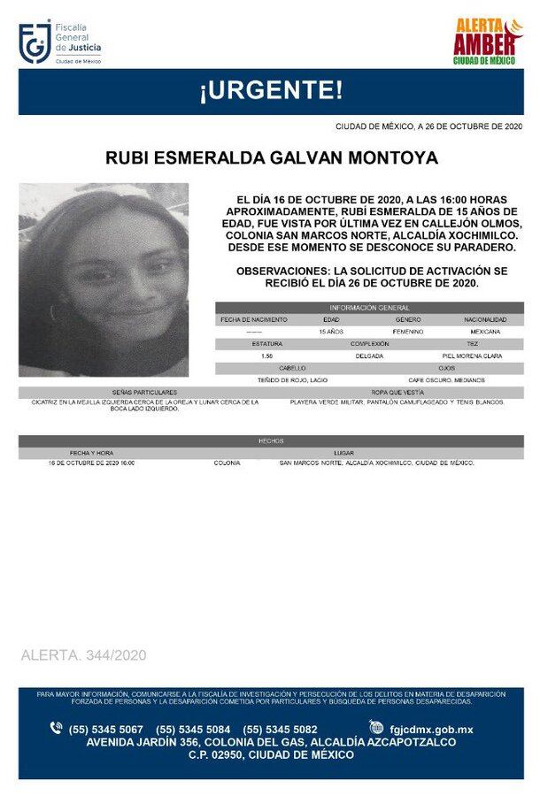 Ficha de búsqueda de Rubí