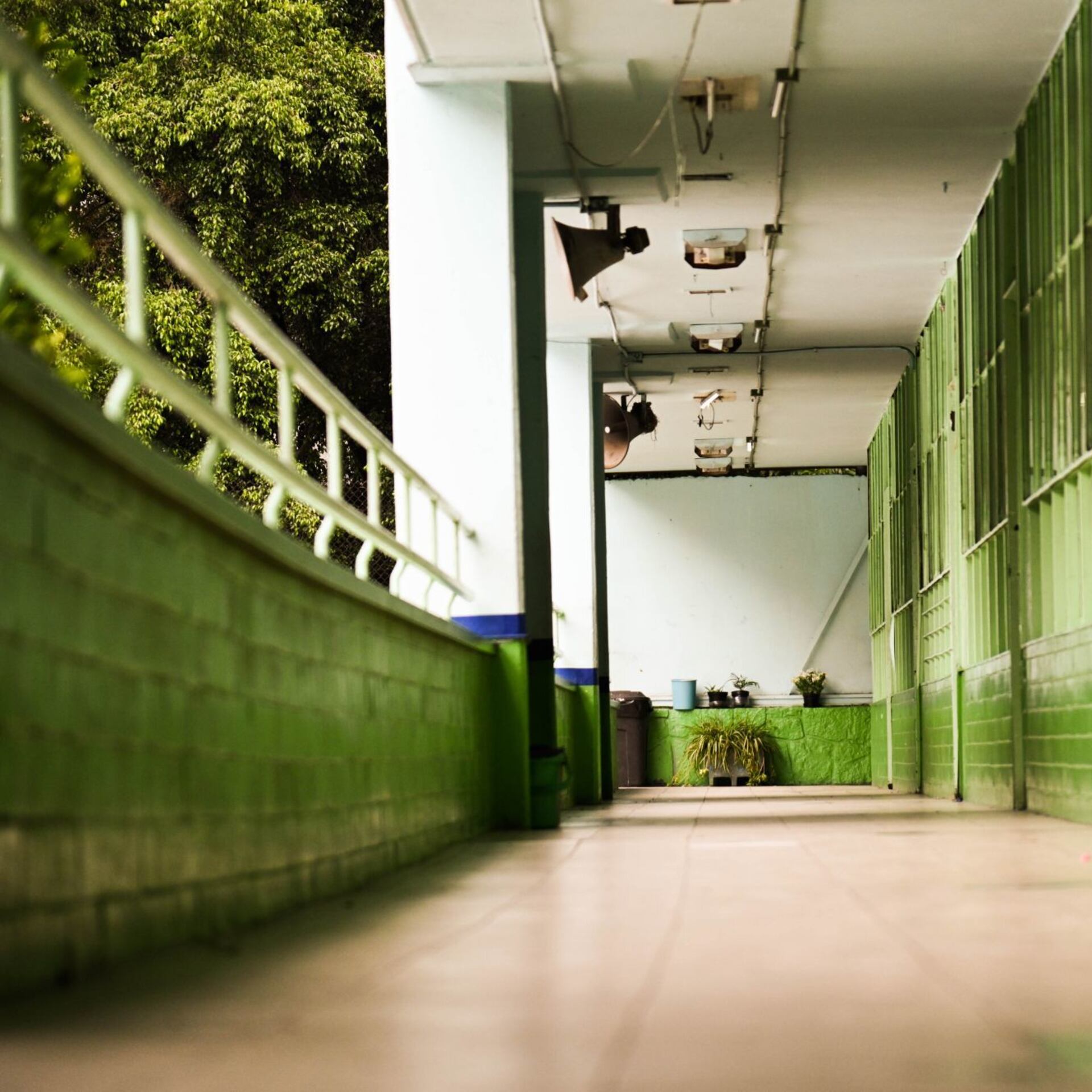 La NEM y la crítica a los esquemas neopositivistas