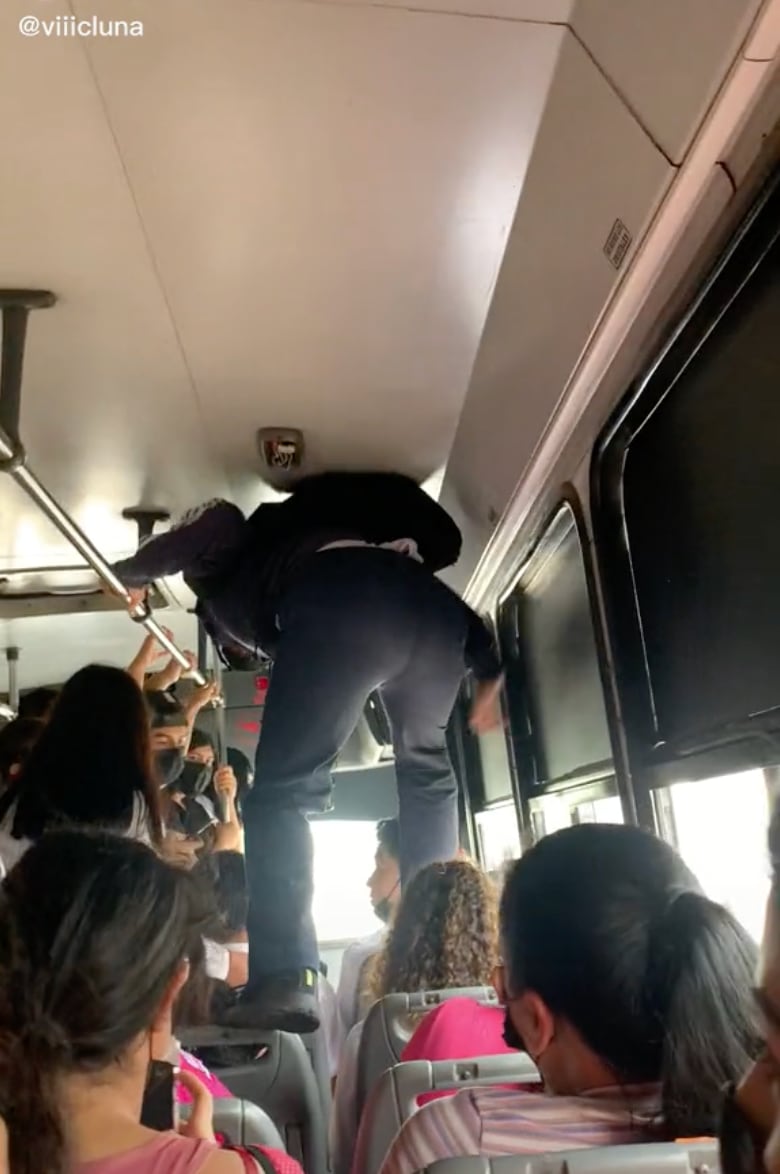 Trepa los asientos del camión lleno para TikTok