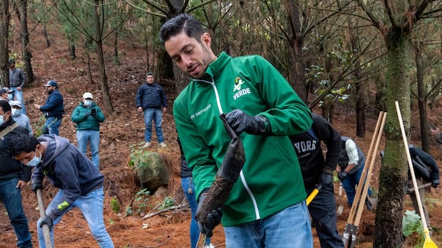 José Couttolenc impulsa Jornada Nacional de Reforestación en EdoMéx.