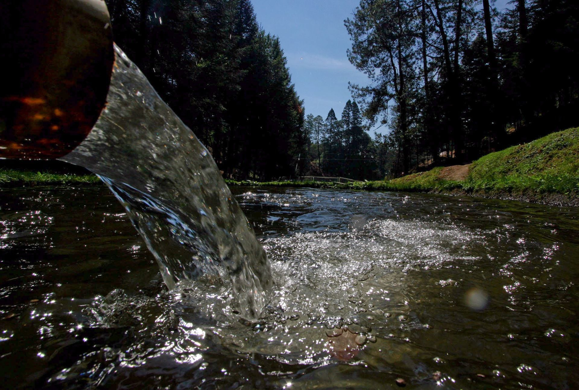 En la Constitución está el derecho al agua en el artículo 4°
