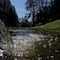 Consejos de la UNAM para cuidar el agua ante la escasez en la CDMX