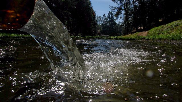 Estos son los consejos de la UNAM para cuidar el agua