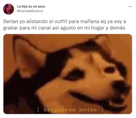 Daniela Rodrice se presenta con meme.