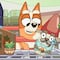 Bluey y Bingo consiguen juguetes nuevos: Capítulo completo en YouTube y español mientras esperas a los Reyes Magos