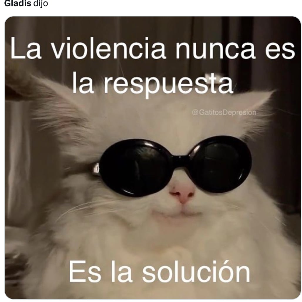 Memes de Gladis, la orca asesina