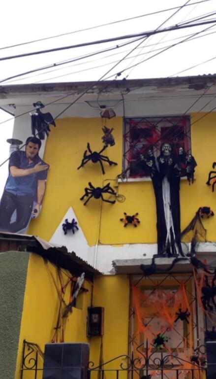 Figura de Chayanne adornando casa
