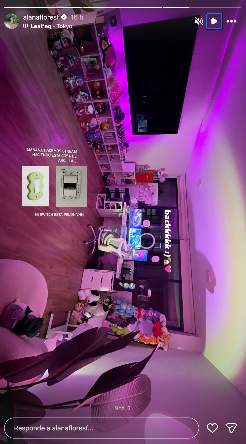 Alana Flores promete hacer un stream y sus seguidores esperan que hable de su ruptura con Sebastián Cáceres