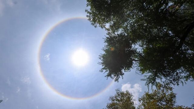 Halo Solar hoy 24 de mayo CDMX